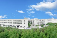 攜手同心、行而不輟，奔赴美好的2024